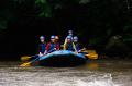 Bali Travel Online | Sobek Bali Utama - SOBEK Ayung River Experience 