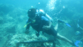 Bali Travel Online | Batara Water Sport - Scuba Diving Nusa Dua