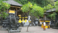 Bali Travel Online | Excellent Bali Tour - AVATAR PACKAGE (UBUD + KINTAMANI + BESAKIH TEMPLE)