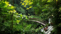 Bali Travel Online | Hanging Gardens of Bali - River Side Bliss