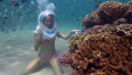 Bali Travel Online | Bali Activities - Seawalker + Nemo /Seahorse Release