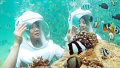 Bali Travel Online | Bali Activities - Seawalker + Nemo /Seahorse Release