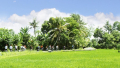 Bali Travel Online | Bali Activities - Ubud Village Cycling