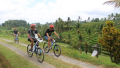 Bali Travel Online | Bali Activities - Jatiluwih Rice Terrace Cycling