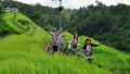 Bali Travel Online | Excellent Bali Tour - BALI CYCLING