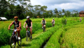 Bali Travel Online | Excellent Bali Tour - BALI CYCLING