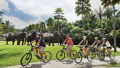 Bali Travel Online | Bali Adventure Tours - Mountain Cycling Tour and Lunch with the Elephants