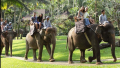 Bali Travel Online | Bali Adventure Tours - Park Admission and Elephant Safari Ride (available from 10am to 4pm and without transfers)