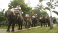 Bali Travel Online | Best Bali Rafting  - Ayung Rafting + Elephant Ride + Monkey Forest + Tanah Lot