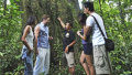 Bali Travel Online | Bali Adventure Tours - Tropical Trekking Tour and Lunch with the Elephants