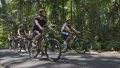 Bali Travel Online | Bali Adventure Tours - Mountain Cycling Tour and Lunch with the Elephants
