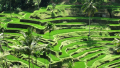 Bali Travel Online | Deheaven Tour - Funtastic Four Bali Cruise