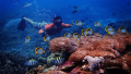 Bali Travel Online | Lembongan watersport - PACKAGE A SNORKELING DAY TRIP FORM BALI TO NUSA LEMBONGAN AND NUSA PENIDA