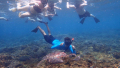 Bali Travel Online | Lembongan watersport - PACKAGE B (Snorkeling Day Trip From Bali to Nusa Lembongan