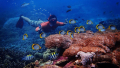 Bali Travel Online | Lembongan watersport - PACKAGE E SNORKELING TRIP FROM NUSA LEMBONGAN TO NUSA PENIDA ISLAND