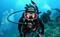 Bali Travel Online | New Bali Scuba - Padang Bai - Two Dive, One Day Trip 