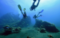 Bali Travel Online | New Bali Scuba - PADI Complete Open Water Course