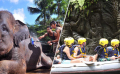 Bali Travel Online | Bali Adventure Tours - Bathe & Breakfast With Elephants