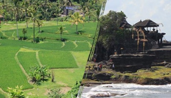 Bali Travel Online | Excellent Bali Tour - Krishna  Package