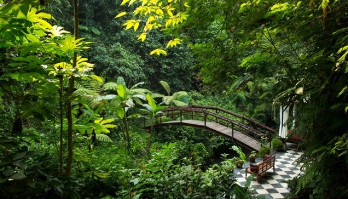 Bali Travel Online | Hanging Gardens of Bali - River Side Bliss