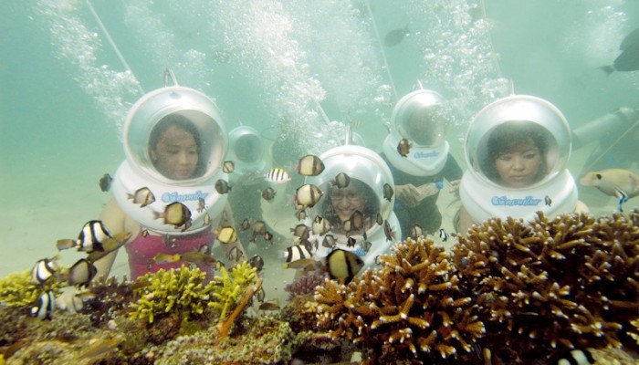 Bali Travel Online | Bali Activities - Seawalker with Coral Plantation