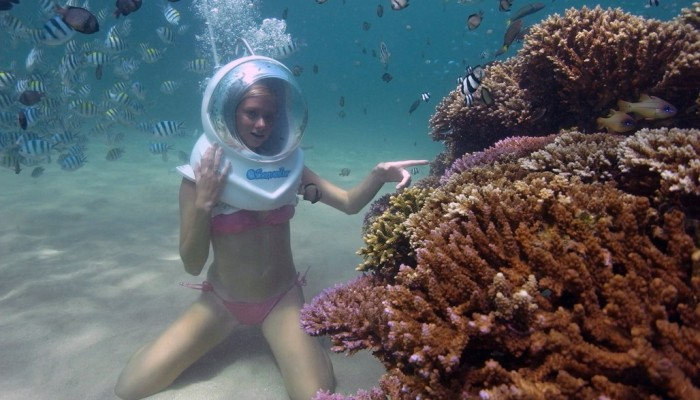 Bali Travel Online | Bali Activities - Seawalker + Nemo /Seahorse Release