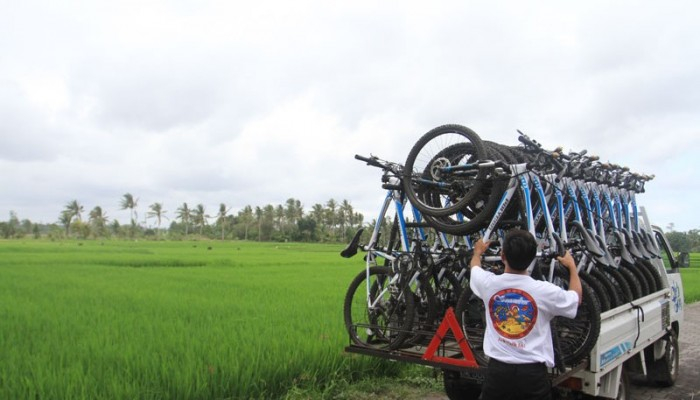 Bali Travel Online | Bali Activities - Jatiluwih Rice Terrace Cycling