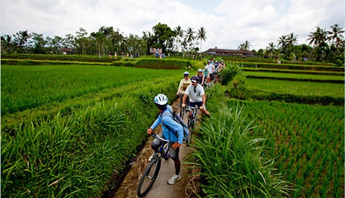 Bali Travel Online | Excellent Bali Tour - BALI CYCLING