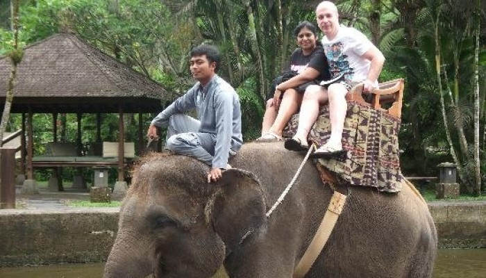 Bali Travel Online | Excellent Bali Tour - BALI ELEPHANT RIDING TOUR