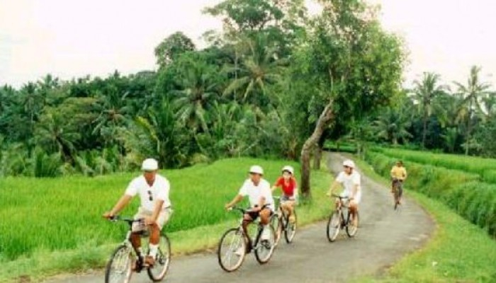 Bali Travel Online | Mai Bali Service - Downhill Cycling Tour