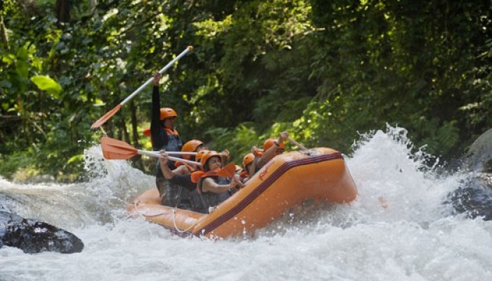 Bali Travel Online | Best Bali Rafting  - Ayung River Rafting