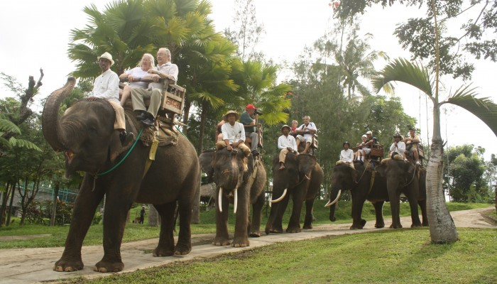 Bali Travel Online | Best Bali Rafting  - Ayung Rafting + Elephant Ride + Monkey Forest + Tanah Lot