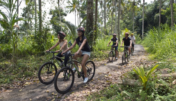 Bali Travel Online | Bali Adventure Tours - Mountain Cycling Tour and Lunch with the Elephants