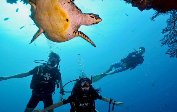 Bali Travel Online | New Bali Scuba - PADI Complete Open Water Course