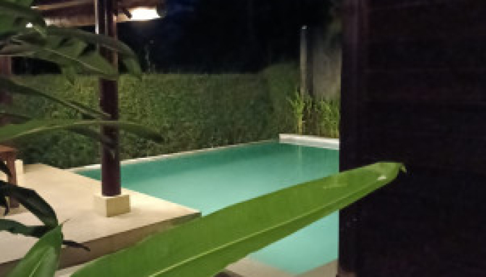 Bali Travel Onlinev | Sri Abi Ratu Villa - One Bedroom Villa With Private Pool