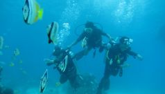 Bali Travel Online | Lembongan watersport - SCUBA DIVING DAY TRIP FROM BALI TO NUSA LEMBONGAN AND NUSA PENIDA ( beginner )