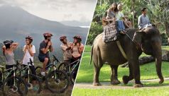 Bali Travel Online | Bali Adventure Tours - Mountain Cycling + Elephant Ride Tour