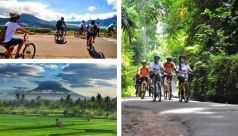 Bali Travel Online | Mai Bali Service - Downhill Cycling Tour