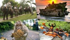 Bali Travel Online | Best Bali Rafting  - Ayung Rafting + Elephant Ride + Monkey Forest + Tanah Lot