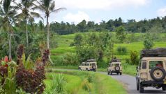 Bali Travel Online | WakaLandCruise - WakaLandCruise, Jatiluwih - Tabanan