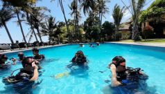 Bali Travel Online | New Bali Scuba - Full Day Discover Scuba Diving - Tulamben