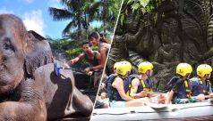 Bali Travel Online | Bali Adventure Tours - Bathe & Breakfast Tour + Elephant Safari Ride