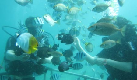 Bali Travel Online | Batara Water Sport - Scuba Diving Nusa Dua