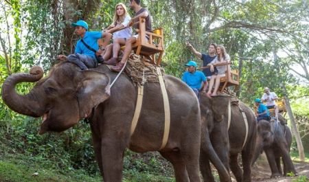 Bali Travel Online | Bali Quad Discovery Tours   - Bali Quad Discovery + Bali Zoo including Elephant Safari 