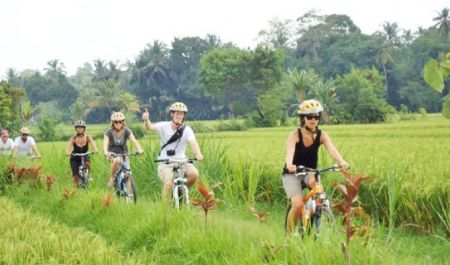 Bali Travel Online | Excellent Bali Tour - BALI CYCLING