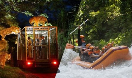 Bali Travel Online | Best Bali Rafting  - Rafting + Ubud Village Tour + Night Safari