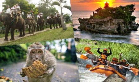 Bali Travel Online | Best Bali Rafting  - Ayung Rafting + Elephant Ride + Monkey Forest + Tanah Lot