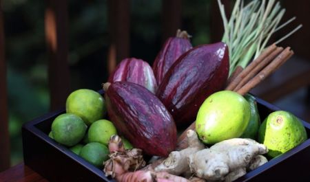 Bali Travel Online | Hanging Gardens of Bali - Cocoa Remedy