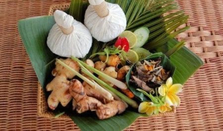 Bali Travel Online | Hanging Gardens of Bali - Ginger Healer