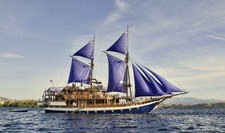 Bali Travel Online | Sea Safari Cruises - Sea Safari VI Vessels - 12D/11N Lower Deck, Twin or Double